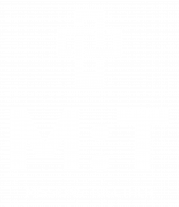 White logo - no background